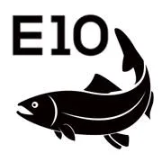 e10-flyfishing.nl